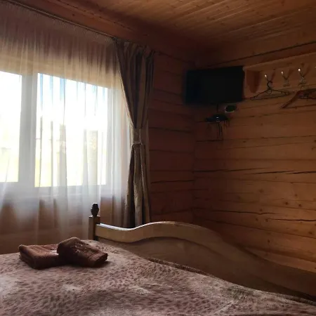 Villa карпатська мрія *