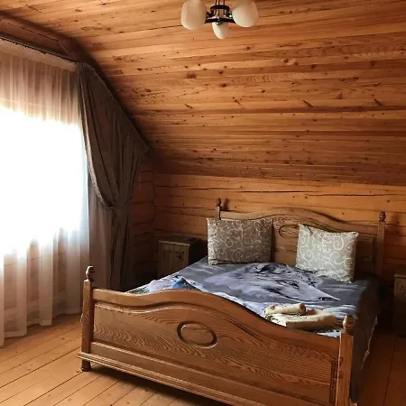 карпатська мрія Villa *