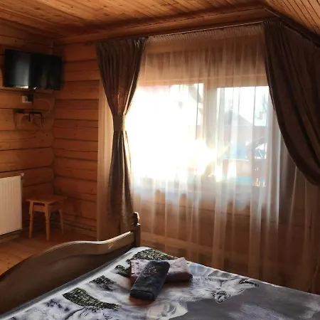 карпатська мрія Villa Mykulychyn